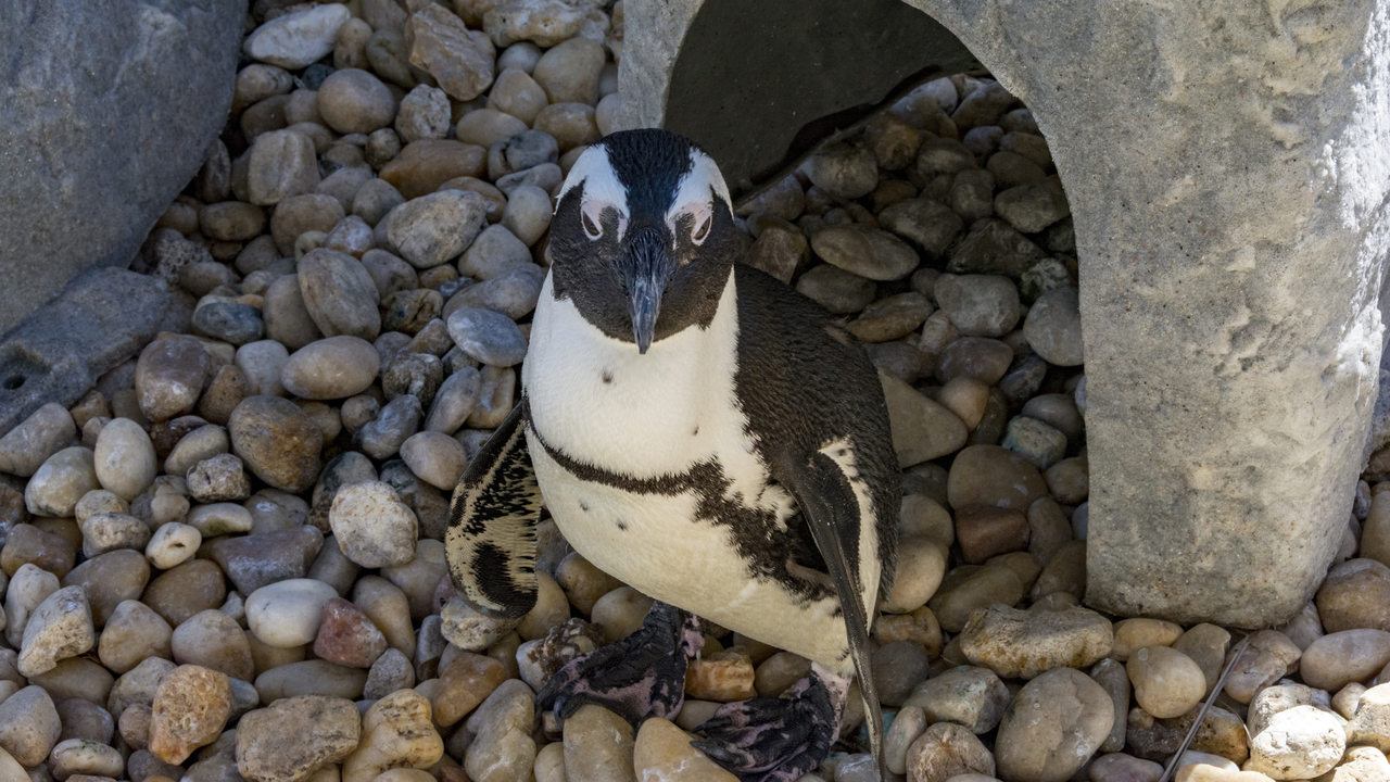 20160217-104121••Fort Walton Beach•Florida•USA